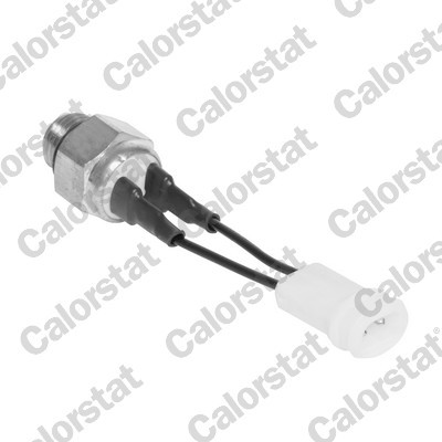 CALORSTAT by Vernet TS2850 EAN: 3531650012886.