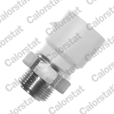 CALORSTAT by Vernet TS2864 EAN: 3531650013029.