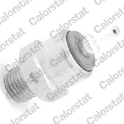 CALORSTAT by Vernet TS2897 EAN: 3531650023349.