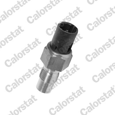 CALORSTAT by Vernet TS2903 EAN: 3531650022045.
