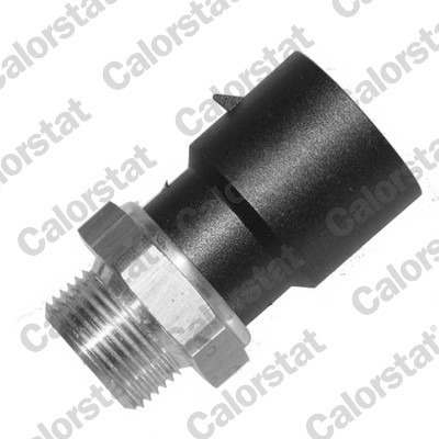 CALORSTAT by Vernet TS2962 EAN: 3531650023400.