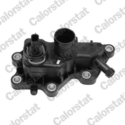 CALORSTAT by Vernet WF0198 EAN: 3531650042050.