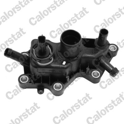 CALORSTAT by Vernet WF0199 EAN: 3531650042067.
