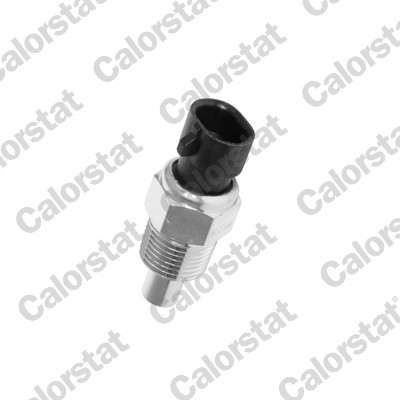 CALORSTAT by Vernet WS2588 EAN: 3531650012077.