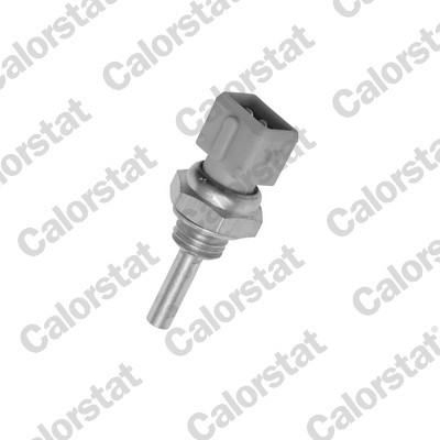 CALORSTAT by Vernet WS2590 EAN: 3531650012091.