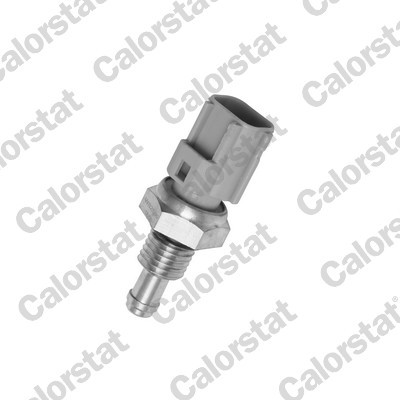 CALORSTAT by Vernet WS2596 EAN: 3531650012145.