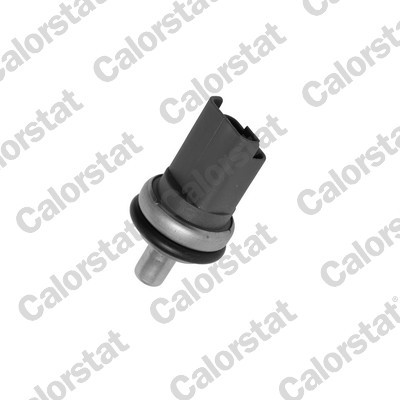 CALORSTAT by Vernet WS2610 EAN: 3531650023646.