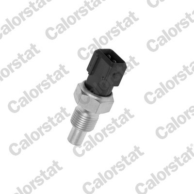 CALORSTAT by Vernet WS2611 EAN: 3531650022397.