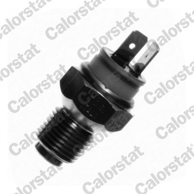 CALORSTAT by Vernet WS2623 EAN: 3531650021956.