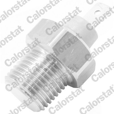 CALORSTAT by Vernet WS2966 EAN: 3531650033386.