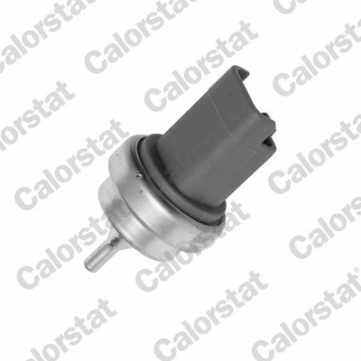 CALORSTAT by Vernet WS3015 EAN: 3531650030682.
