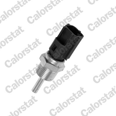 CALORSTAT by Vernet WS3041 EAN: 3531650033805.