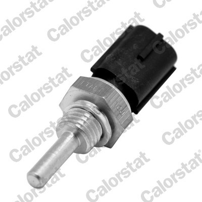 CALORSTAT by Vernet WS3060 EAN: 3531650035496.