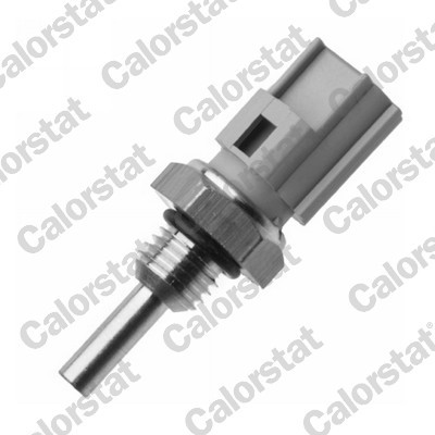 CALORSTAT by Vernet WS3079 EAN: 3531650033577.
