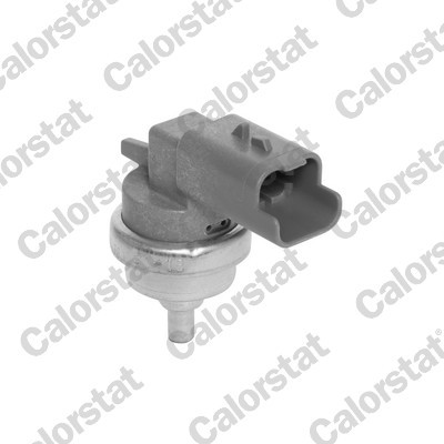 CALORSTAT by Vernet WS3186 EAN: 3531650047963.