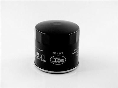SCT - MANNOL SM 125 Číslo výrobce: ADZ92113.