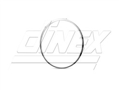 DINEX 5AL005