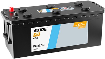EG1203