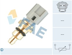 FAE 33736