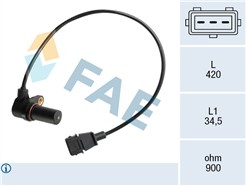 FAE 79073