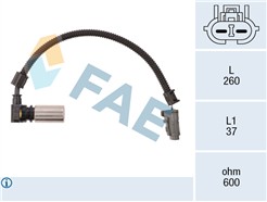 FAE 79086