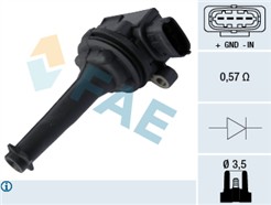 FAE 80302