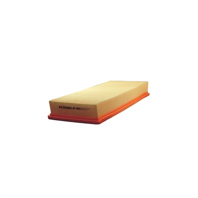 FILTRON AP 004/1 EAN: 5904608020048.