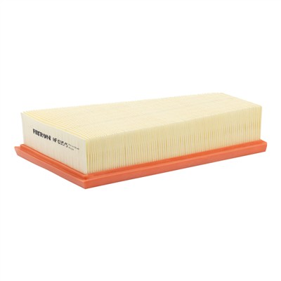 FILTRON AP 035/5 EAN: 5904608060358.