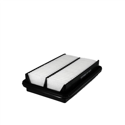 FILTRON AP 176/8 EAN: 5904608091765.