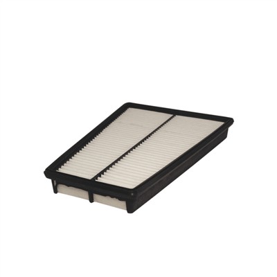 FILTRON AP 182/2 EAN: 5904608021823.