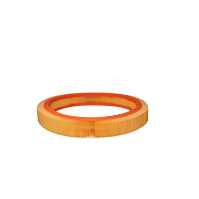 FILTRON AR 036 EAN: 5904608000361.