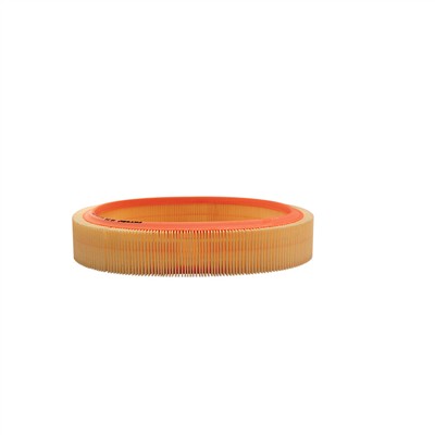 FILTRON AR 216 EAN: 5904608002167.