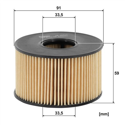 FILTRON OE 665/1 EAN: 5904608026651.