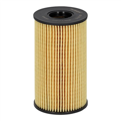 FILTRON OE 667/5 EAN: 5904608066671.