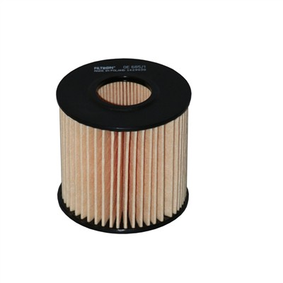 FILTRON OE 685/1 EAN: 5904608026859.