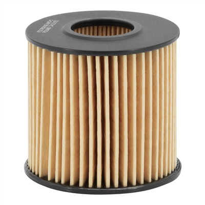 FILTRON OE 685/5 EAN: 5904608066855.