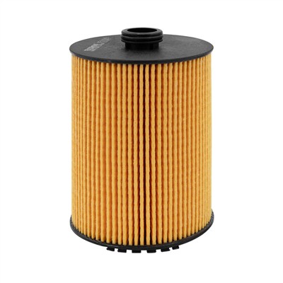 FILTRON OE 688/9 EAN: 5904608106889.