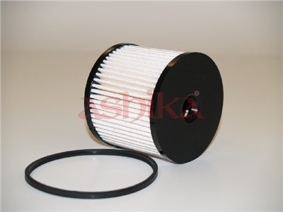 ASHIKA 30-ECO019 EAN: 8033001476989.