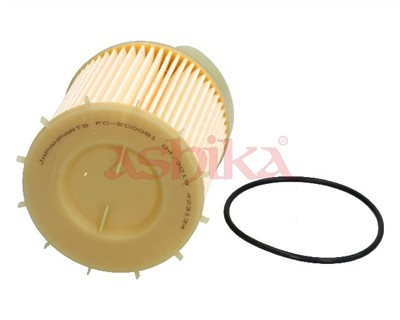 ASHIKA 30-ECO081 EAN: 8033001790351.