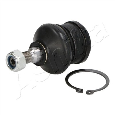 ASHIKA 73-05-502 EAN: 8033001484021.