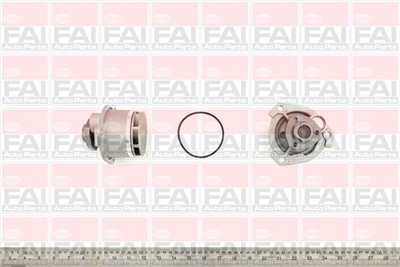 FAI AutoParts WP6167 EAN: 5027049165731.
