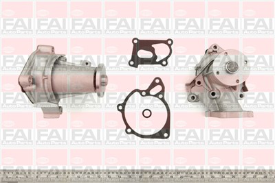 FAI AutoParts WP6202 EAN: 5027049173743.