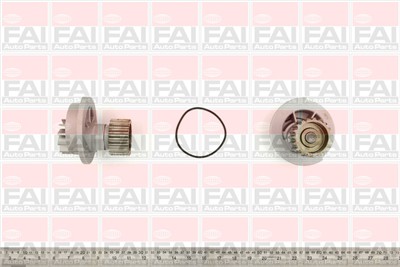 FAI AutoParts WP6219 EAN: 5027049173118.