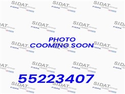 SIDAT BH020096