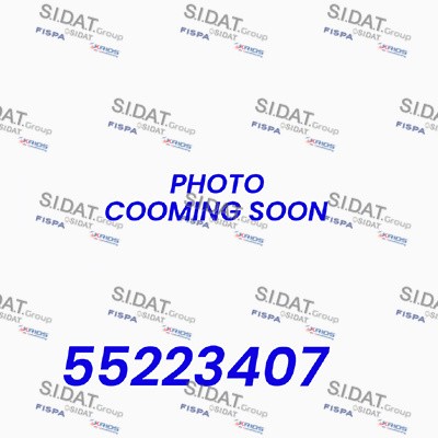 SIDAT BH020096