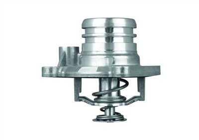MAHLE ORIGINAL TI 13 92 Číslo výrobce: 1.419.92.356. EAN: 4250192946075.