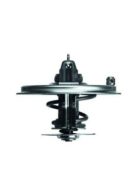 MAHLE ORIGINAL TX 36 85D Číslo výrobce: 2.396.85. EAN: 4250192932733.