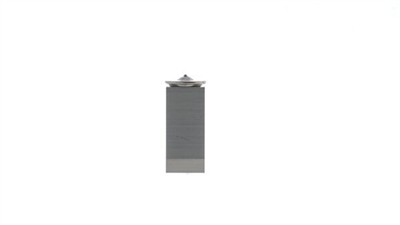 MAHLE ORIGINAL AVE 198 000S Číslo výrobce: 72565731. EAN: 4057635233460.