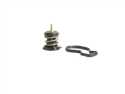 MAHLE ORIGINAL TX 458 80D Číslo výrobce: 72558291. EAN: 4057635223270.