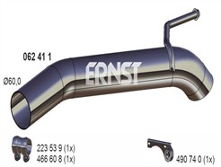 ERNST 062411